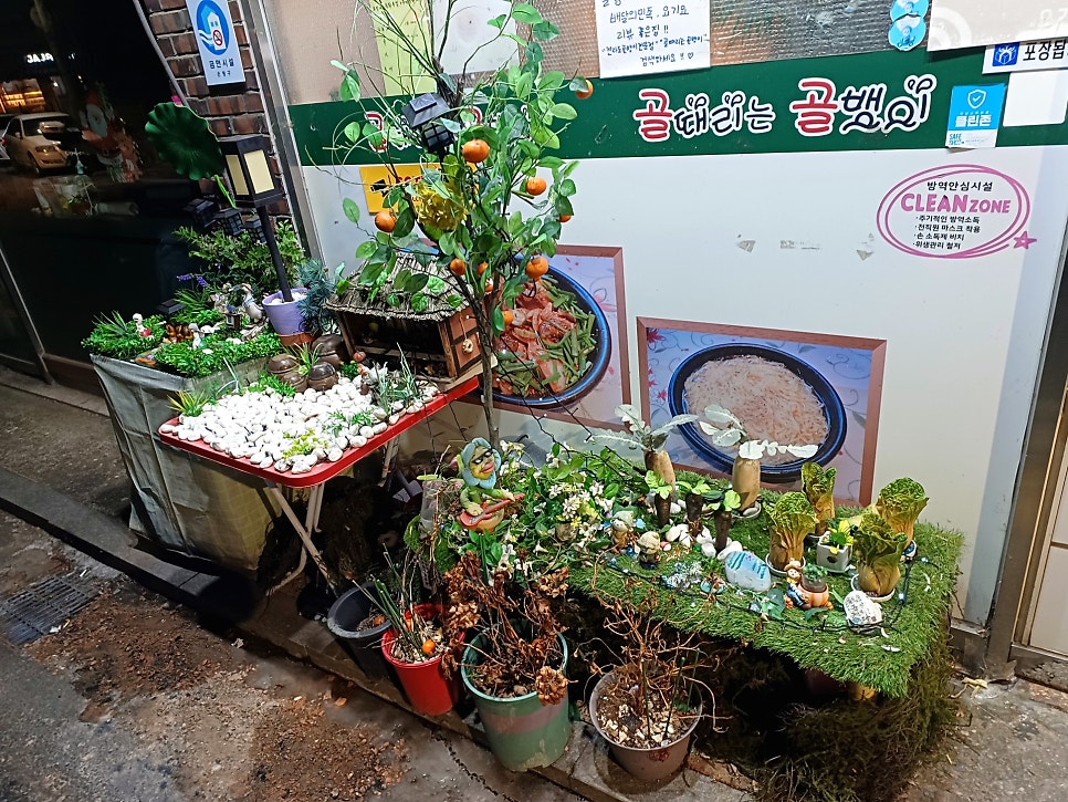 골때리는골뱅이 사진 3