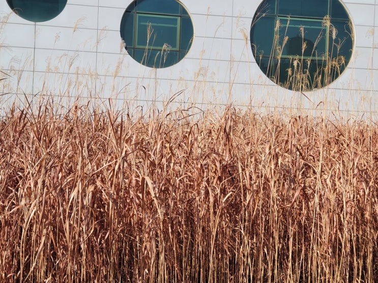  인생 영화 추천 한국 작품을 중심으로