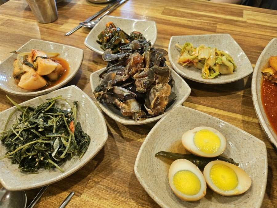 곤이랑동태랑 사진 6