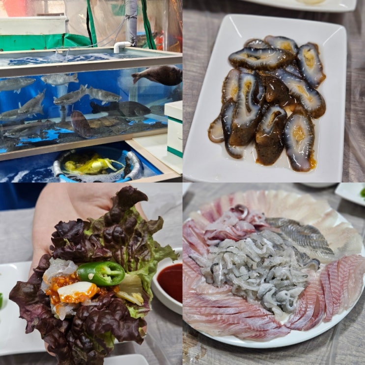  마산 어시장 맛집 미각횟집 후기