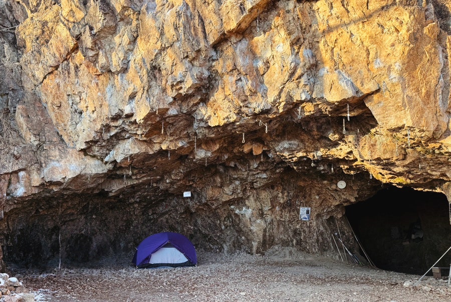 조비산가든 사진 2