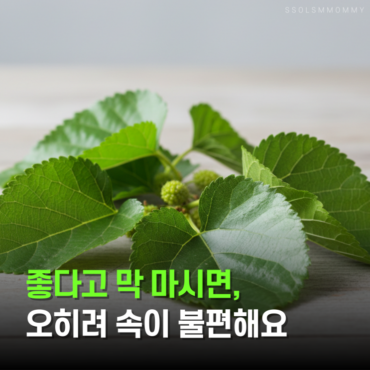  뽕잎효능, 혈당 걱정될 때 한 번쯤