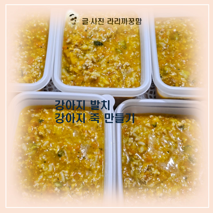  강아지 발치 후 식단 걱정 끝! 13살 짱구를 위한 영양 만점 강아지 죽 만들기