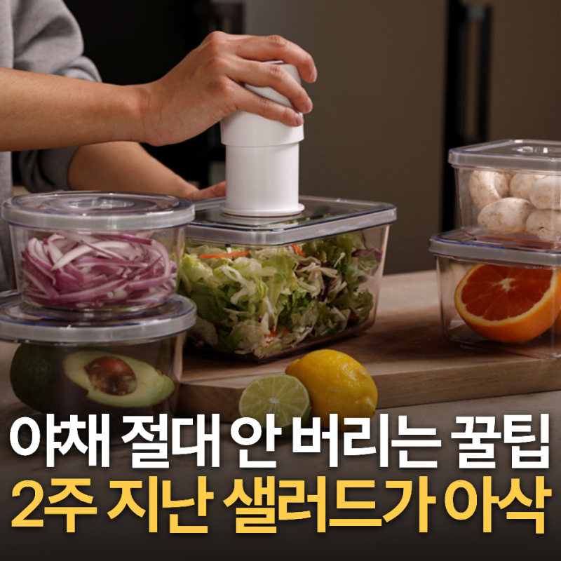 2주 지난 샐러드가 아삭하다? 진공 밀폐용기 유목민 추천
