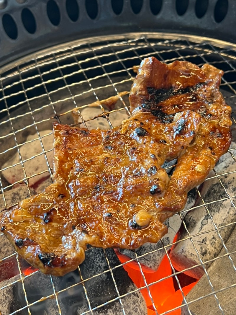 사진 5