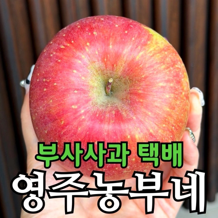  영주농부네 부사 사과 택배 후기｜정과 19과·보관용품 구성까지 솔직리뷰