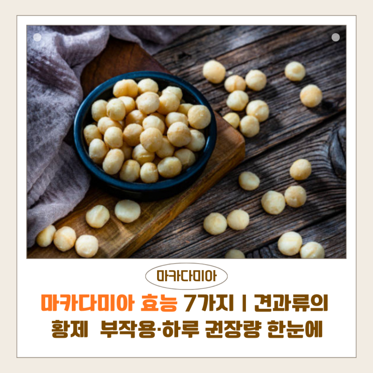  마카다미아 효능 7가지｜견과류의 황제 부작용·하루 권장량 한눈에