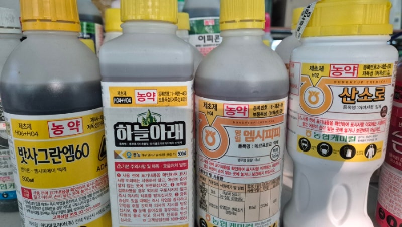 칡, 아까시, 대나무, 농장 주변의 잡관목 죽이는 방법? 공짜! 재활용 농약주입기