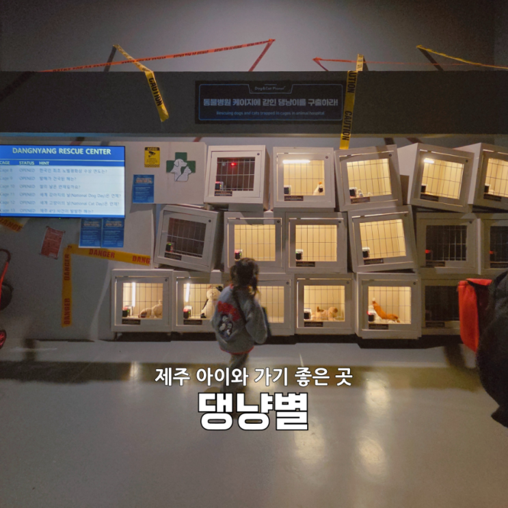  서귀포 아이와 가볼만한곳  테마파크 ‘댕냥별’ 5살 아이 체험 솔직후기