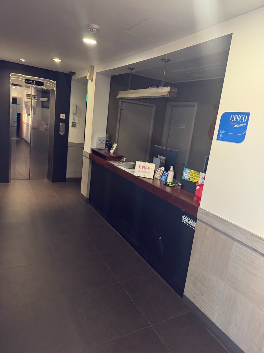 피터캣 사진 5
