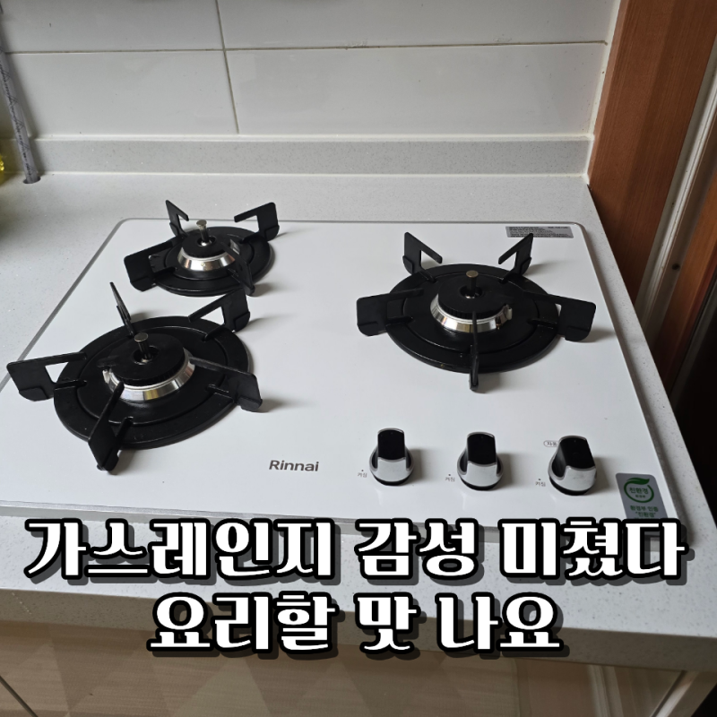 [ 후기]린나이 빌트인 가스레인지 화이트, 인덕션 고민 끝에 선택했는데 "화력" 절로 감탄했....