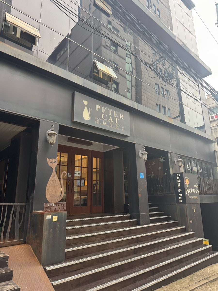 피터캣 사진 3