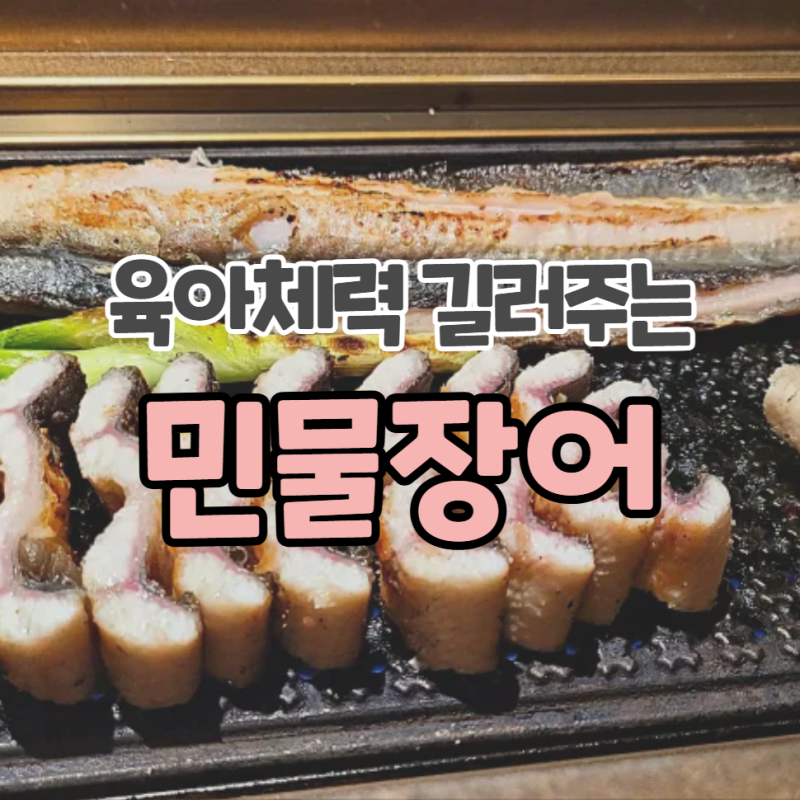 민물장어즙 효능과 성분깔끔 엑기스 추천