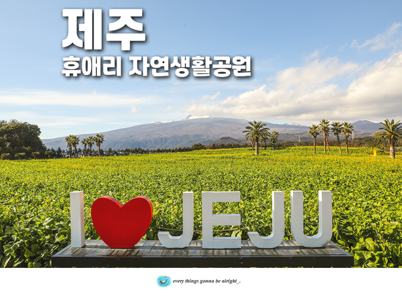 제주 휴애리 자연휴양림 유채꽃 휴애리 동백축제 입장권