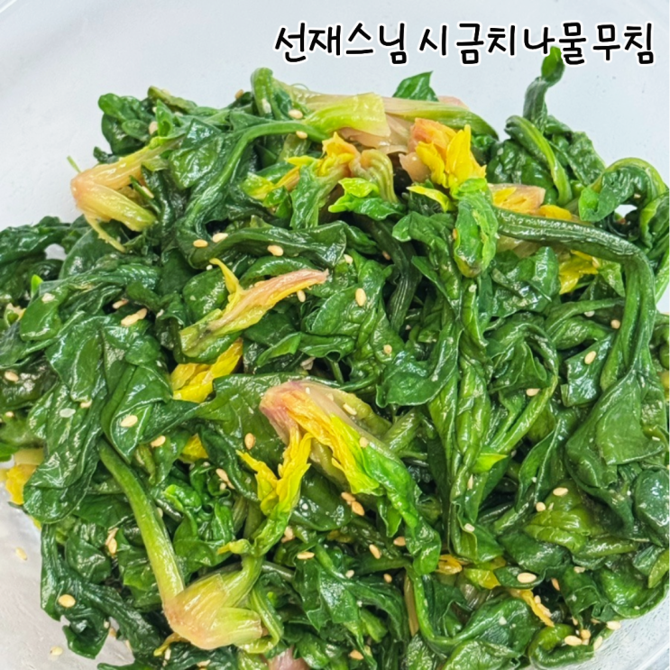  선재스님 시금치나물 레시피 시금치무침 만드는법 제철나물 요리