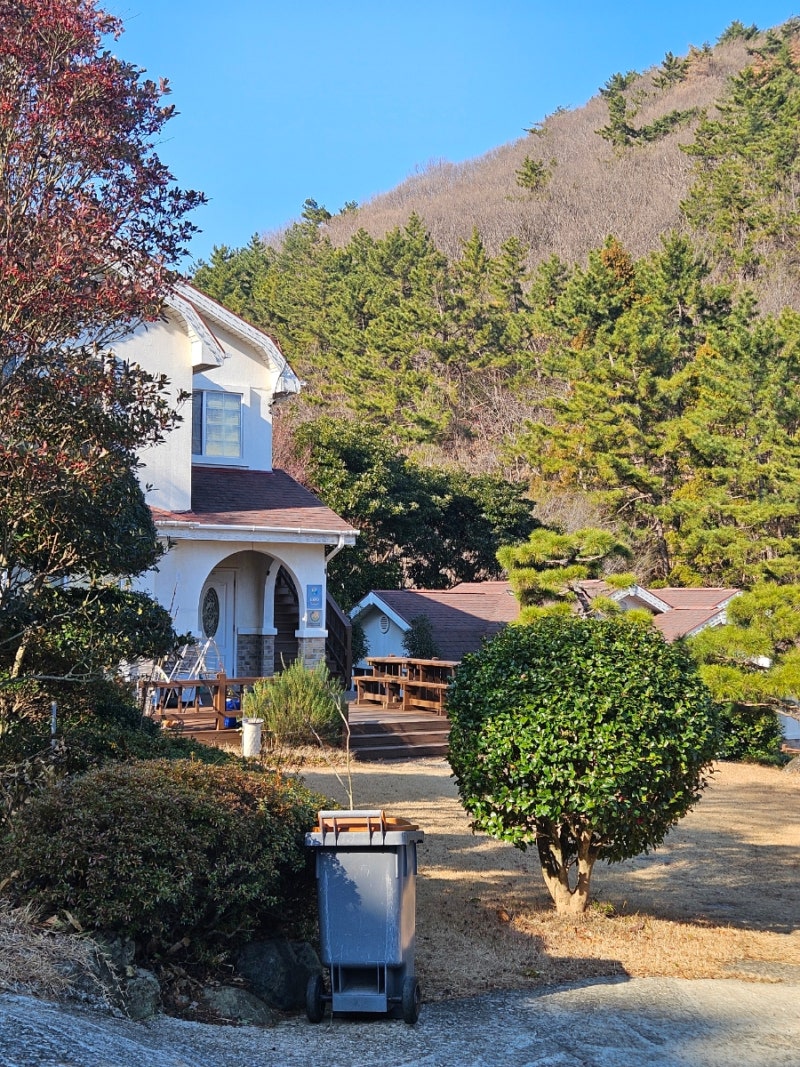 사진 7