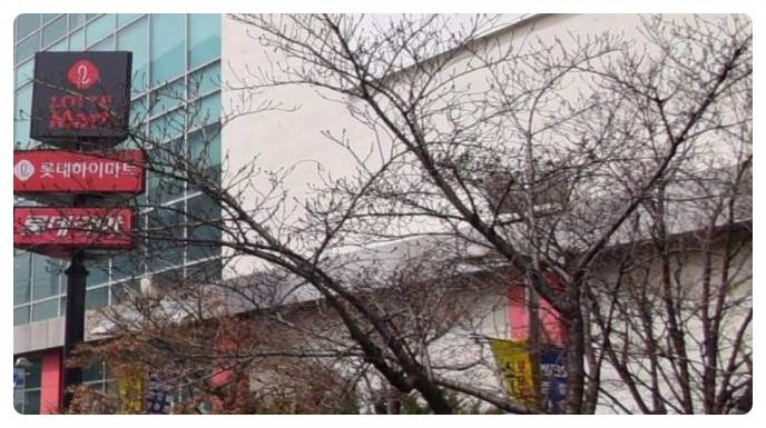  롯데마트 할인 전단지 2월 초 행사 및 휴무일  설 선물 세트 기간 안내