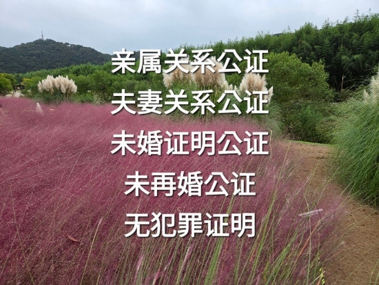  중국 친속관계공증(亲属关系公证)