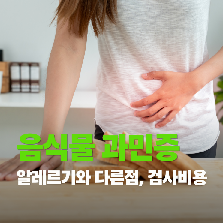  음식물 과민증 vs 알레르기 차이점, 더부룩함,피부 트러블 원인 음식때문일까? (검사비용)