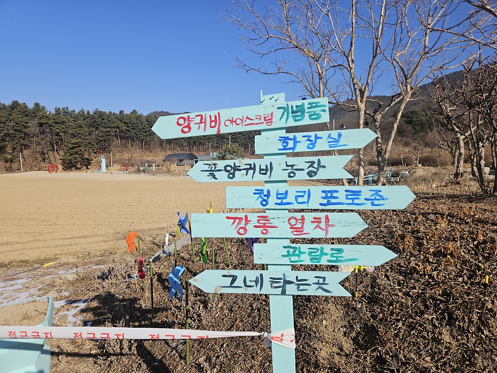 용수골얼음썰매장 사진 5