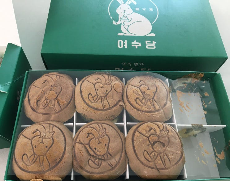  [일상기록]2026년 1월 5째주