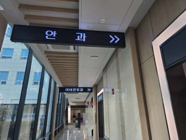  유병자 질병후유장해보험 약관 비교｜가입 전 질병(기왕증) 보장 여부부터 확인