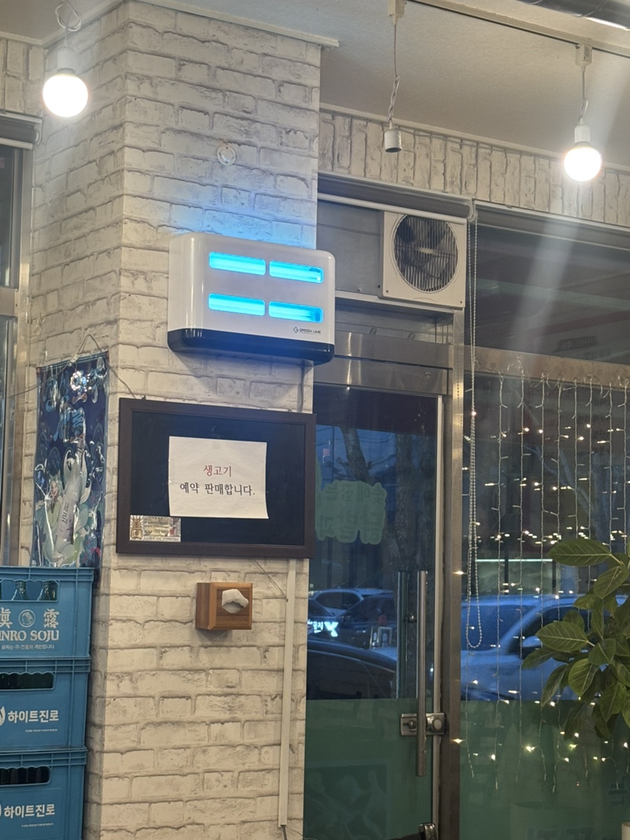 선운갈매기 사진 3