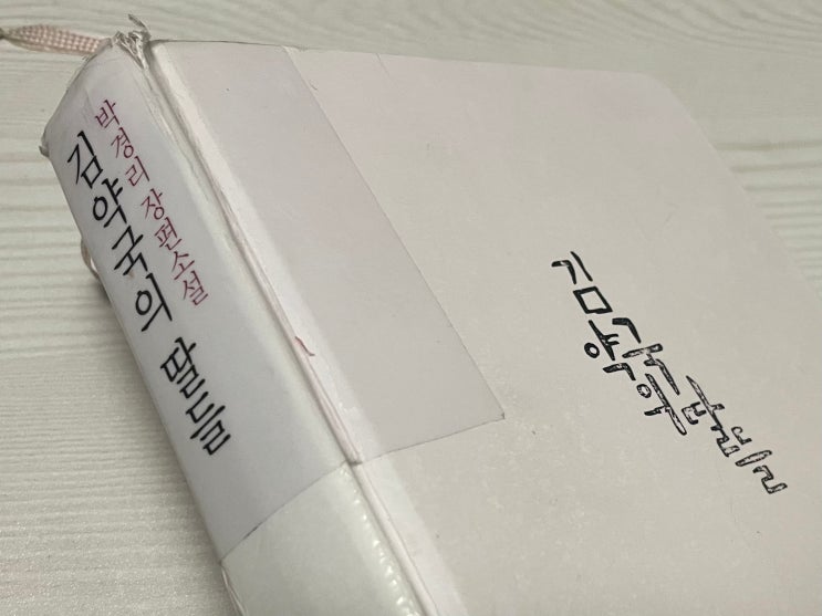  박경리 장편소설 김약국의 딸들 줄거리 요약 한국 현대문학