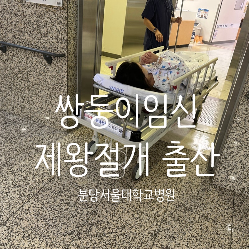 [쌍둥이 출산] 분당서울대병원 제왕절개 입원 후기(입원 수속, 신생아실 면회, 병원 밥)