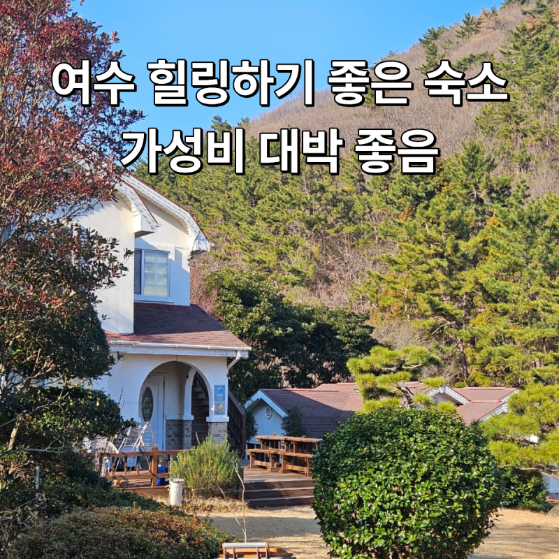 사진 6
