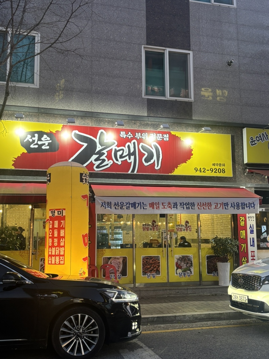 선운갈매기 사진 1