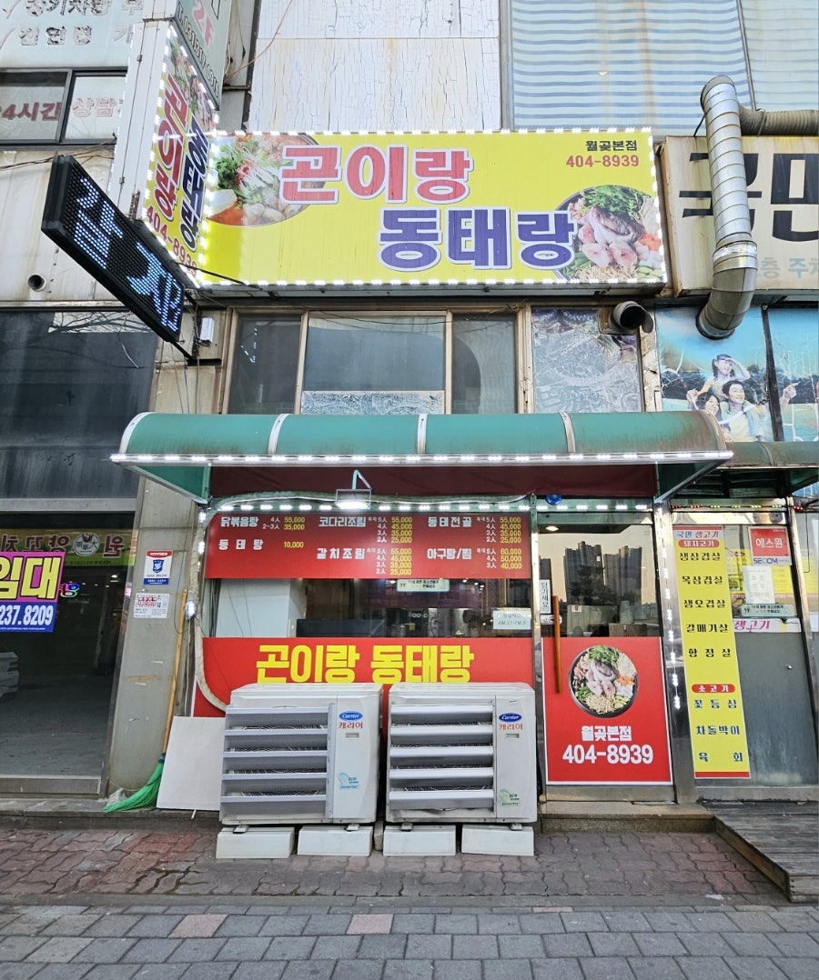 곤이랑동태랑 사진 1