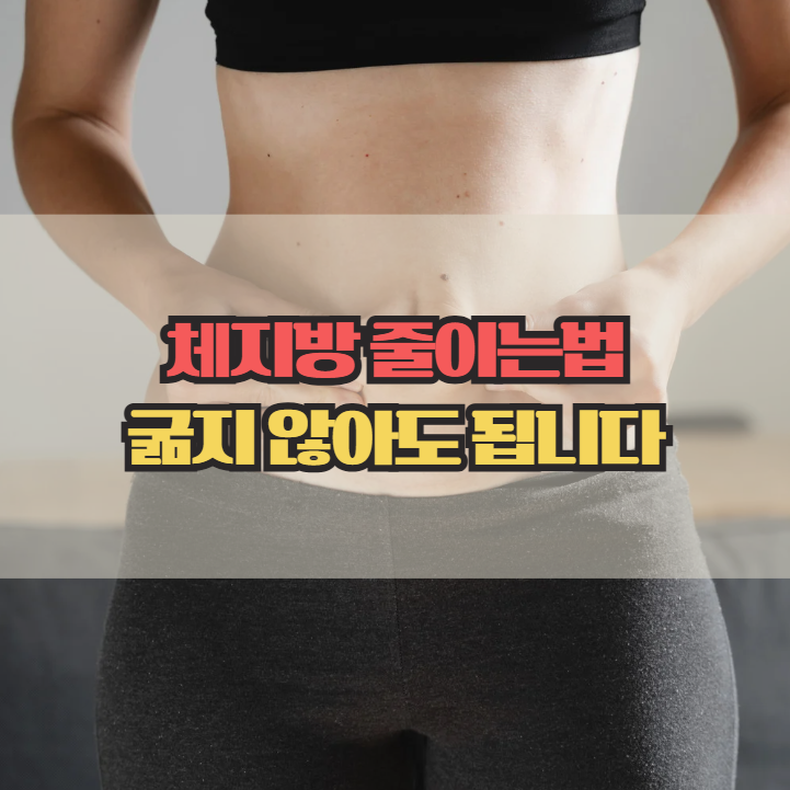  체지방 줄이는법, 굶지 않고 관리하는 현실적인 방법