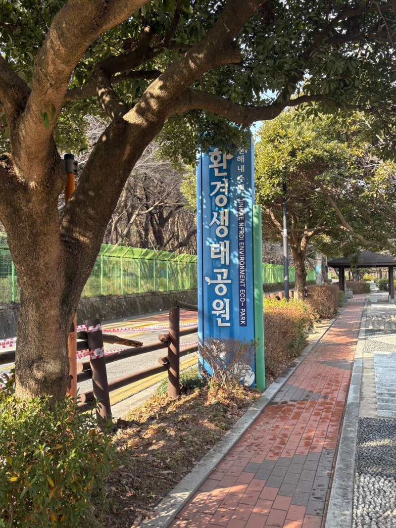 사진 6