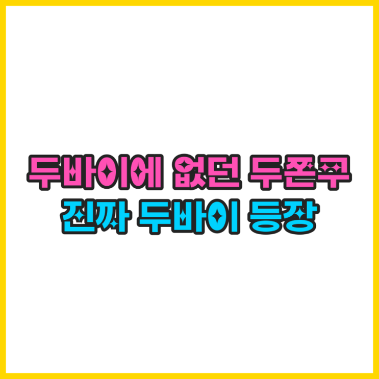  두바이에 없던 ‘두바이쫀득쿠키’가 두바이에 떴다｜29디르함(약 1.1만원) + ‘한쫀쿠/코쫀쿠’ 밈 폭발