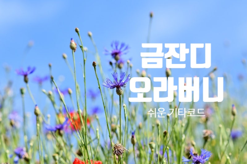 [현역가왕3 참가자]금잔디 오라버니 노래 가사, 노래듣기, 쉬운 기타코드 + 기타코드표