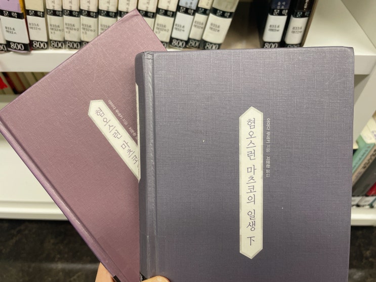  혐오스런 마츠코의 일생 영화 원작 소설 줄거리 요약