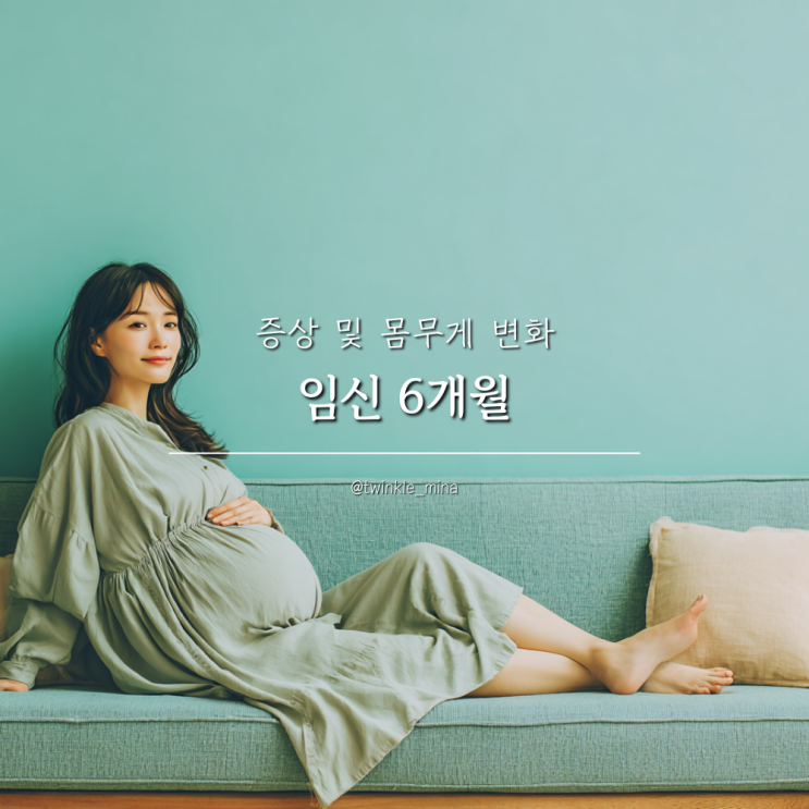  임신 6개월 증상 및 몸무게 변화 21주 22주 23주 24주