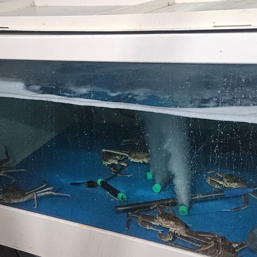 반야월초장집 사진 4