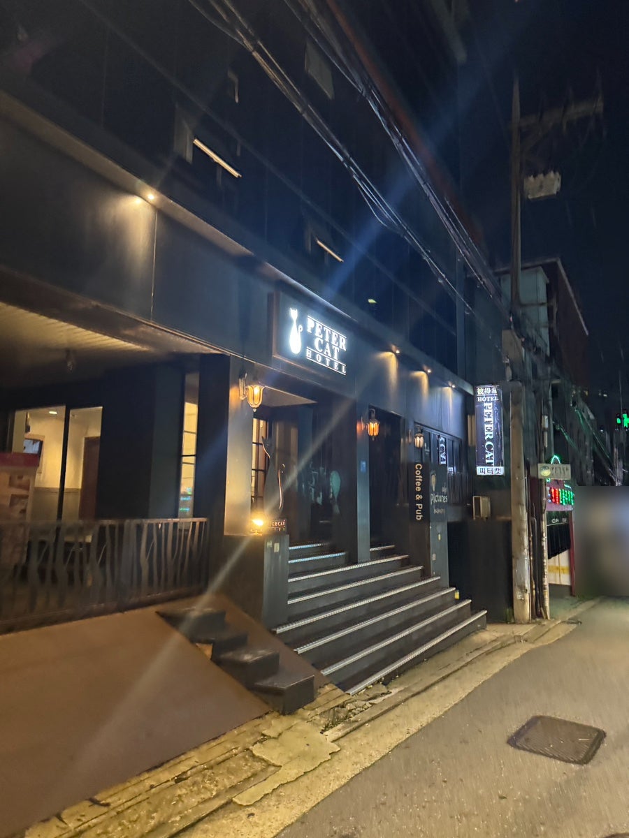 피터캣 사진 2