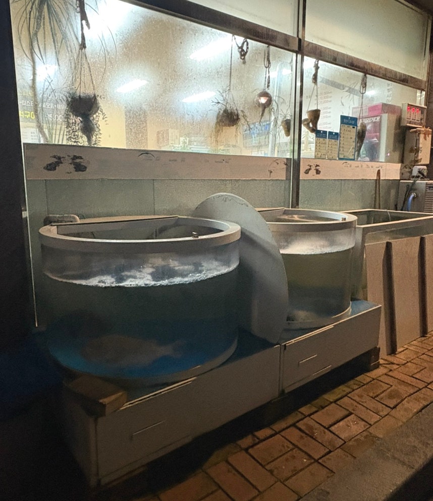 청정횟집 사진 3