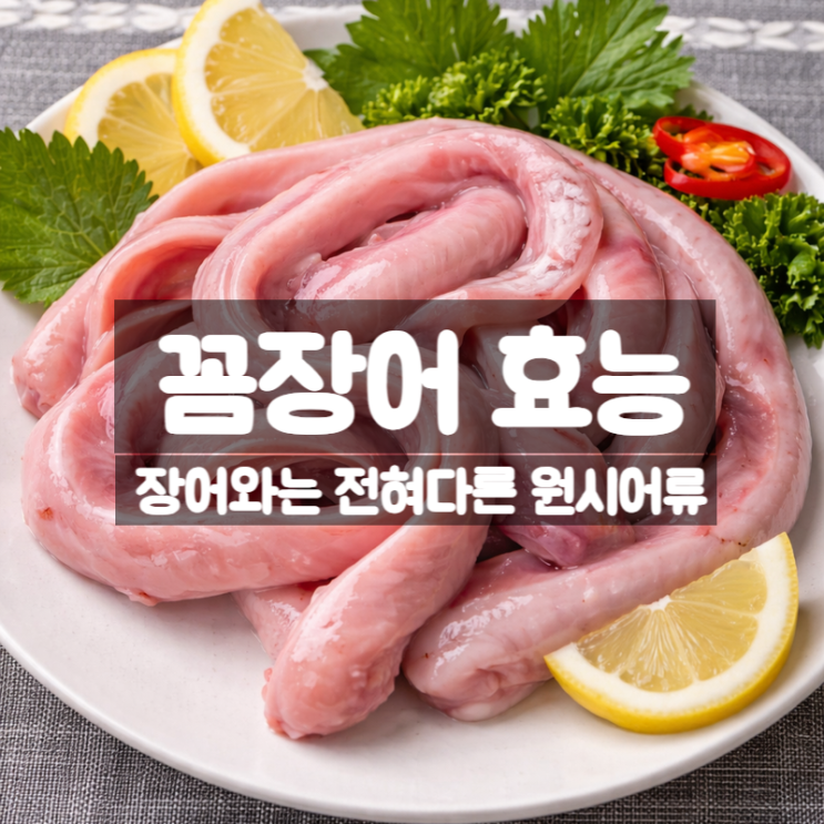  꼼장어 효능 부작용 먹는법 – 장어와는 어종 자체가 다른 원시어류