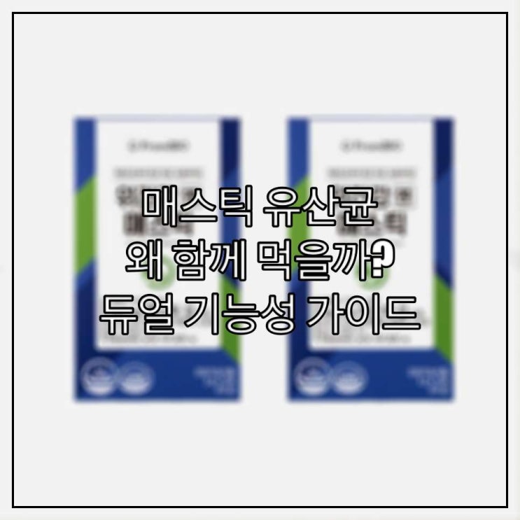 매스틱 유산균 왜 함께 먹을까? 듀얼 기능성 가이드