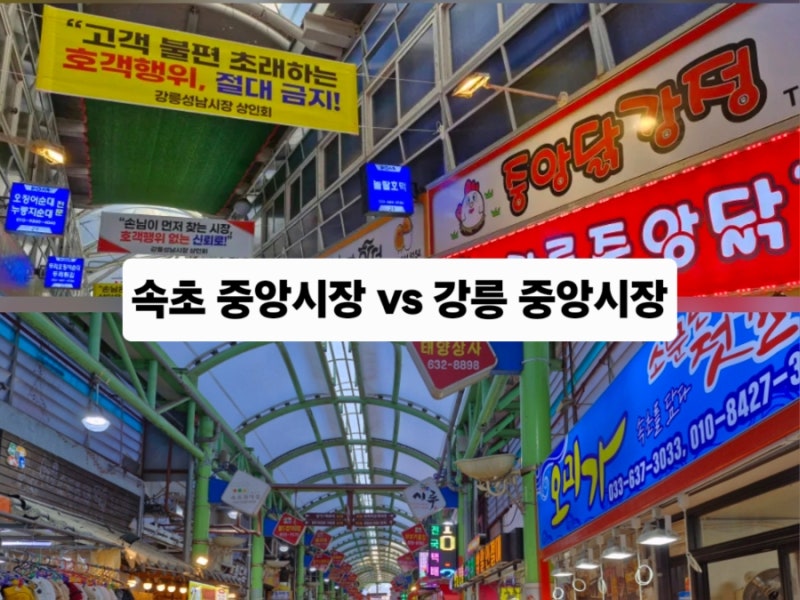 속초 중앙시장 vs 강릉 중앙시장 - 방문 후 차이점