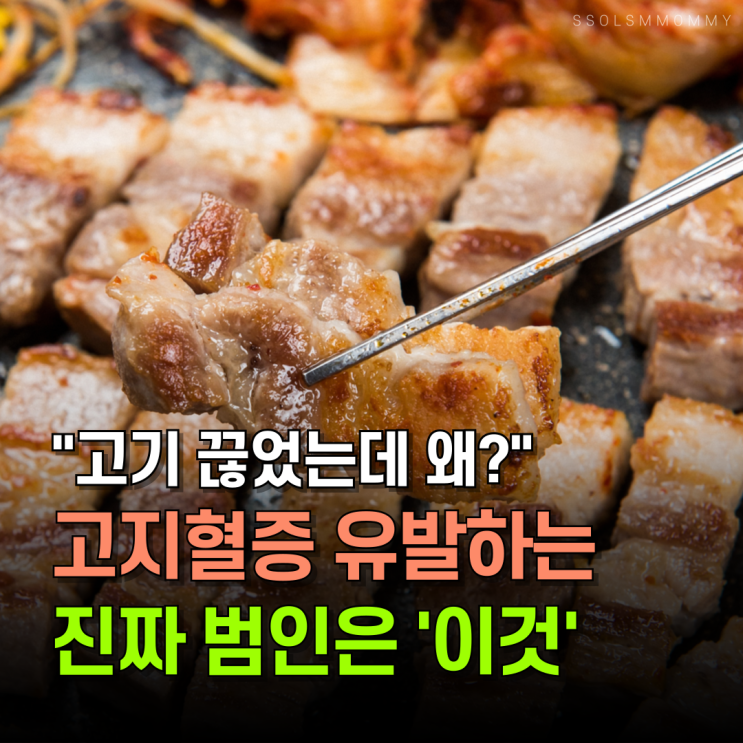  "고기 끊었는데 왜?" 고지혈증 만드는 진짜 원인 ‘이것’
