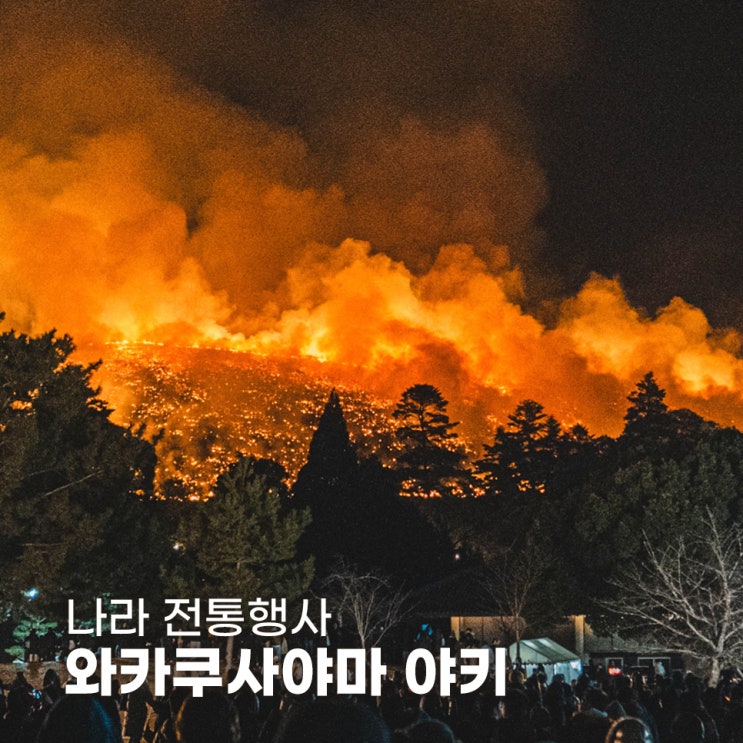  오사카 근교 여행 나라 전통행사 와카쿠사야마 야키