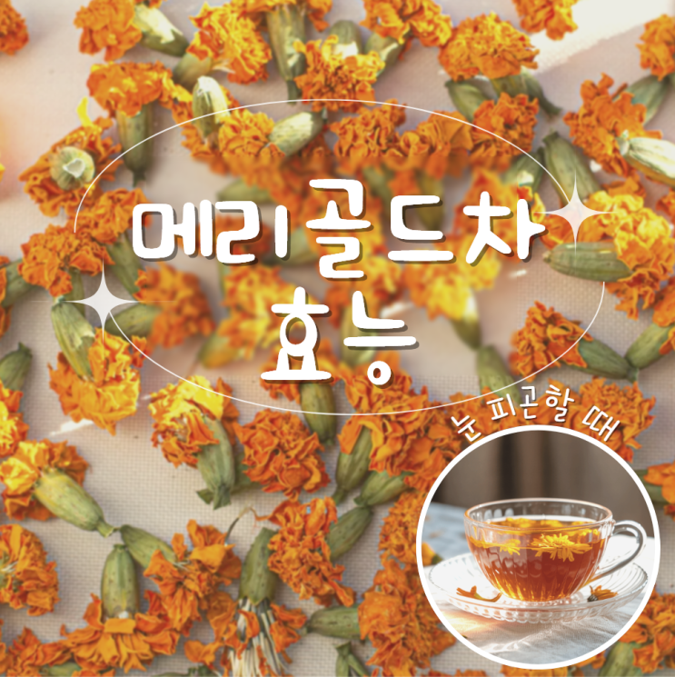 메리골드차 효능 부작용 물대신?