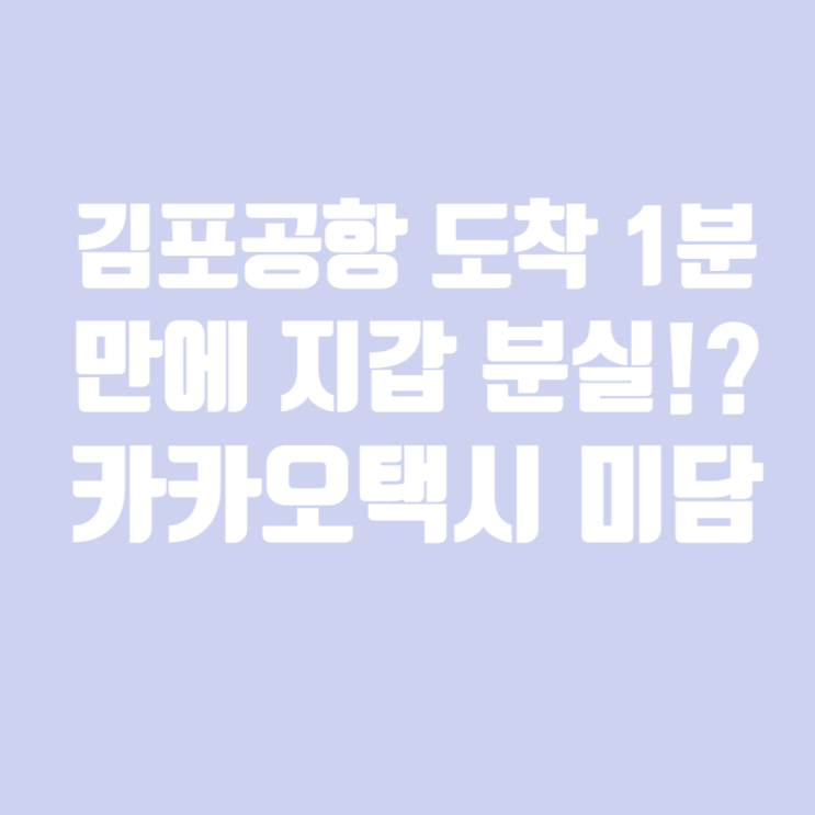  김포공항 도착 1분 만에 지갑 분실?! 비행기 놓칠 뻔한 카카오택시 미담