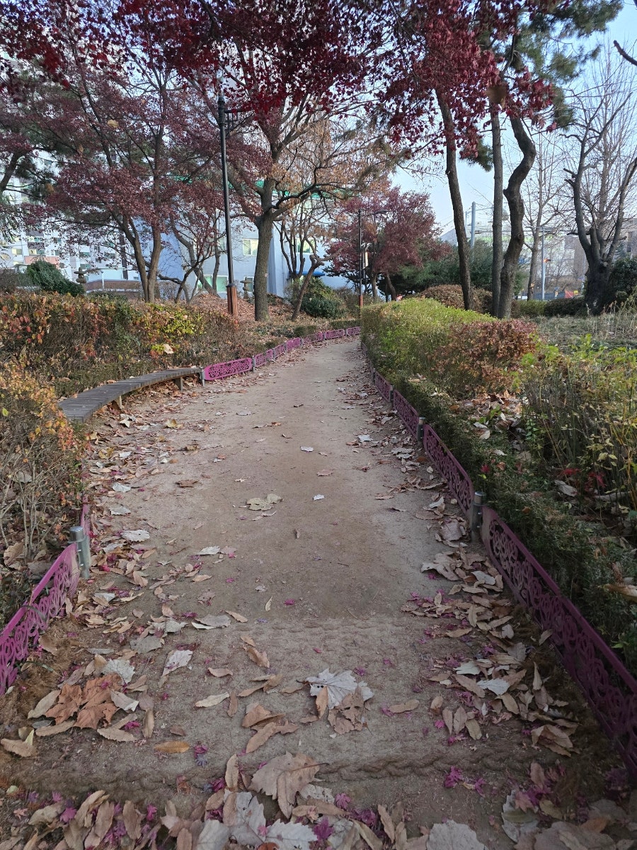 천하일미 사진 1