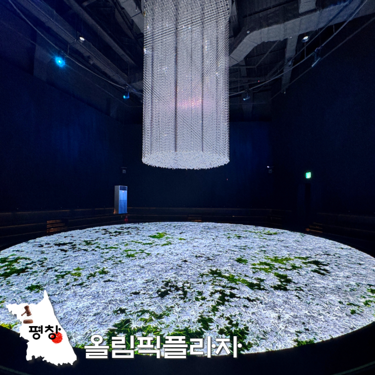  평창 올림픽플라자 가족여행 실내 가볼만한곳 추천 입장료 할인